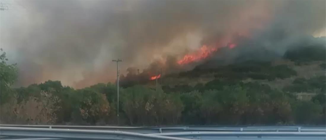 Βόλος: Φωτιά περιμετρικά της πόλης (βίντεο)