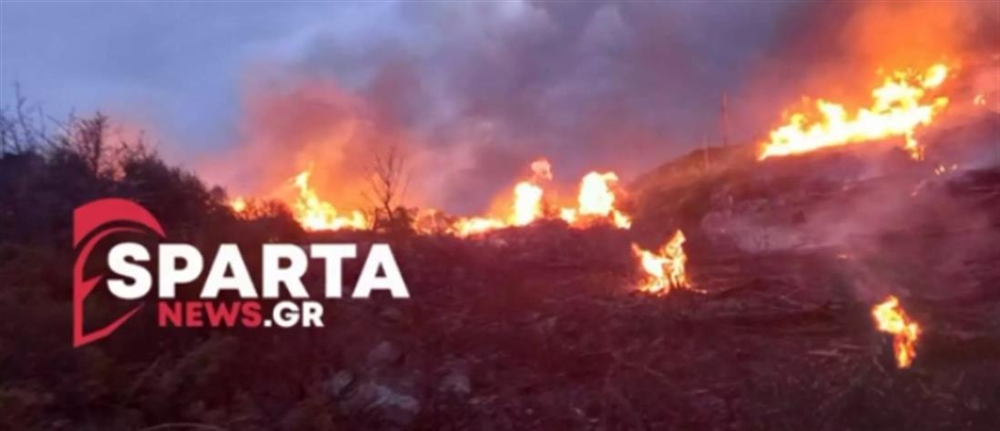 Μεγάλη φωτιά στη Λακωνία (βίντεο)