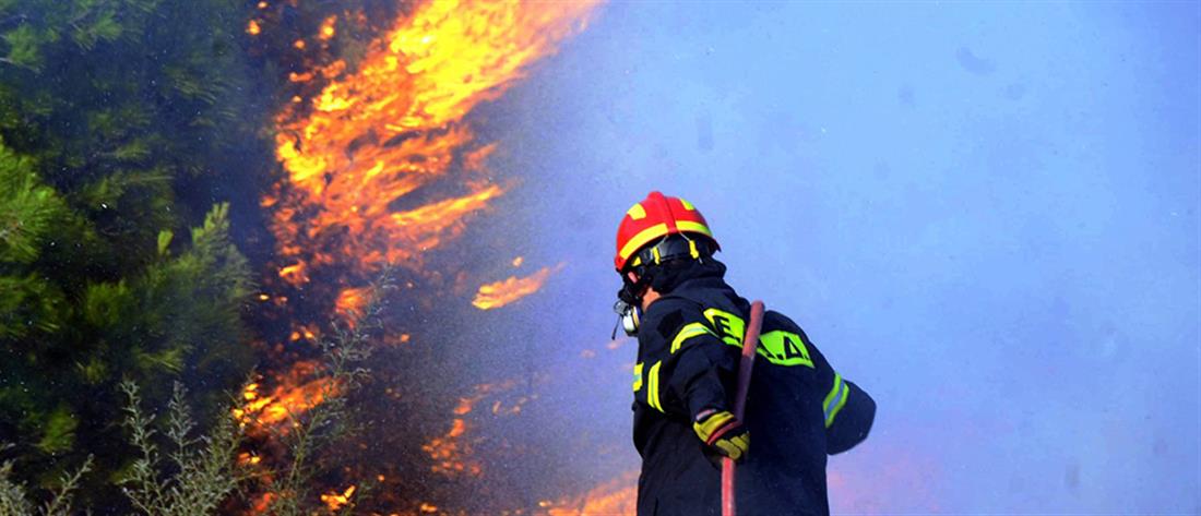 Πυρκαγιά ξέσπασε στην Χαλκιδική