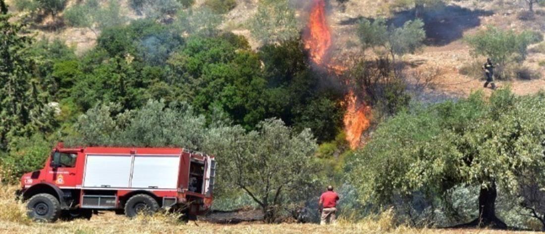 Κάρυστος: Φωτιά κοντά σε χωριό