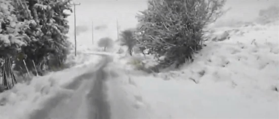 “Ζηνοβία”: Στους 20 πόντους έφθασε το χιόνι στο Στεφάνι (βίντεο)