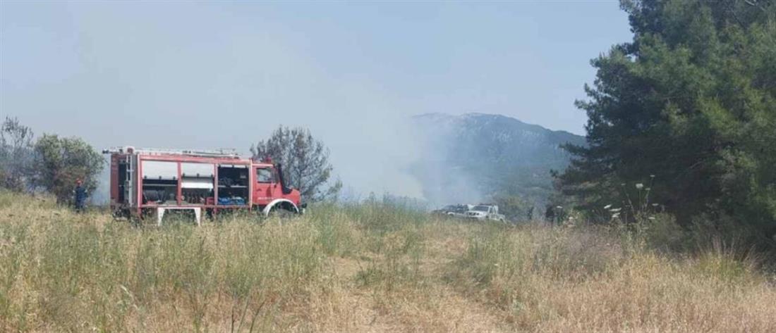Φωτιά στην Ρόδο: Ισχυρές δυνάμεις της Πυροσβεστικής στην περιοχή (εικόνες)