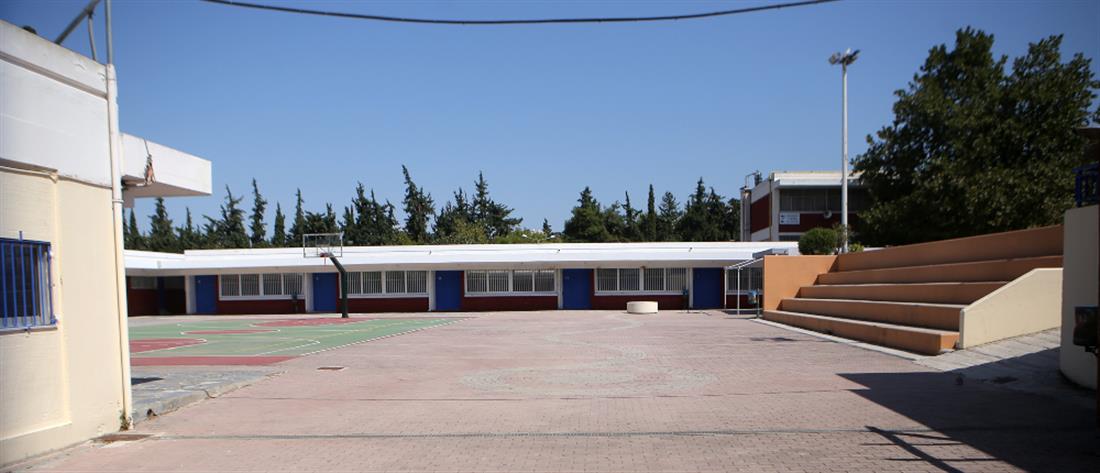 Κορονοϊός - Παπαευαγγέλου: Γιατί τα σχολεία θα μείνουν κλειστά έως τα Φώτα
