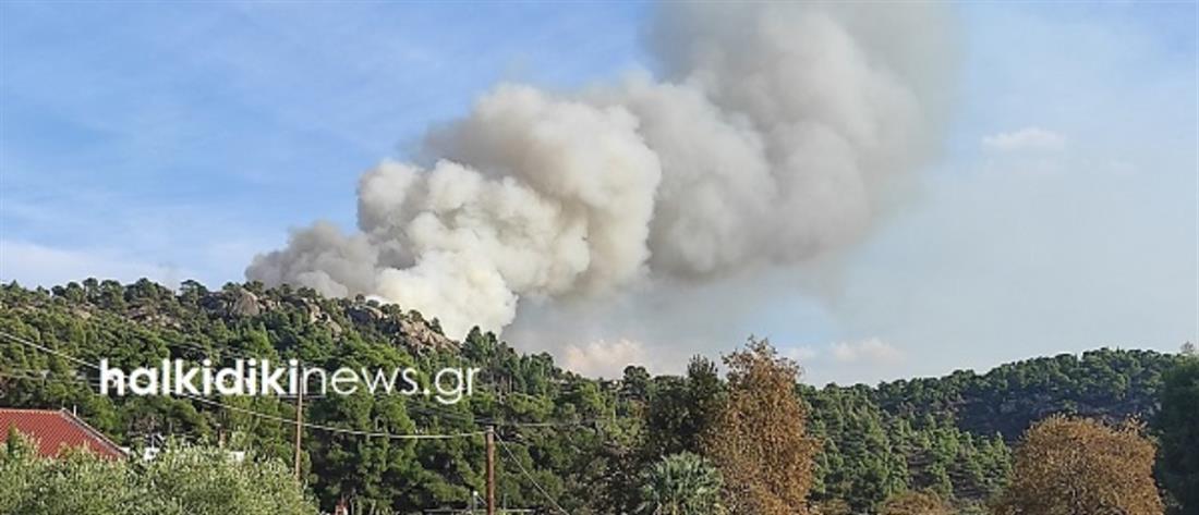 Φωτιά στην Καλογριά: Συνεχίζει να καίει για δεύτερη μέρα 