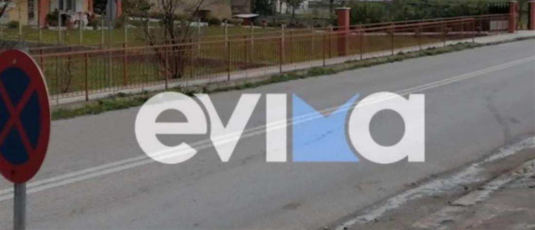 Εύβοια: Αυτοκίνητο παρέσυρε μαθητή