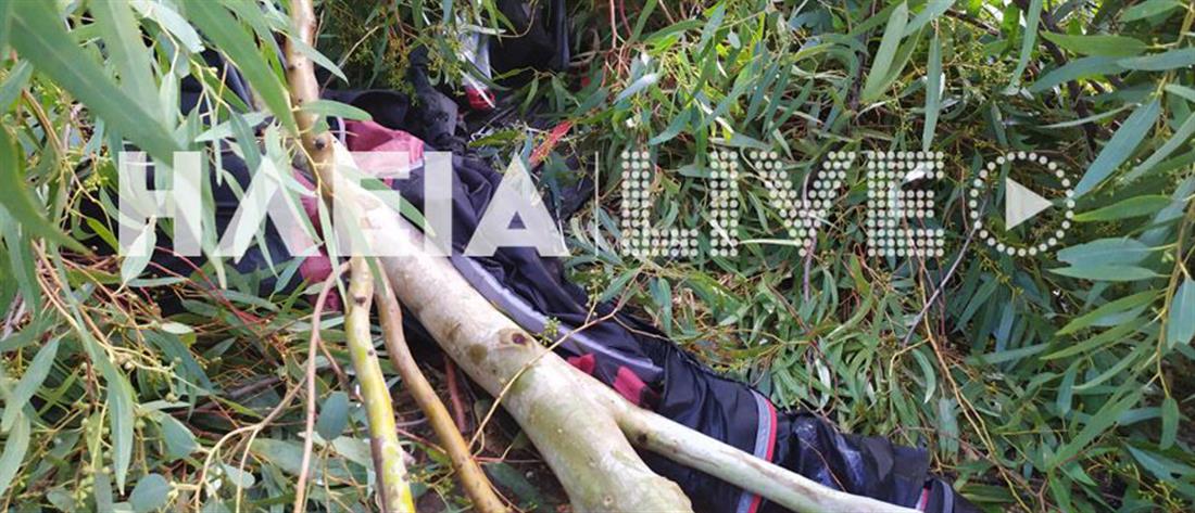 Κακοκαιρία “χτύπησε” την Ηλεία - Ξεριζώθηκαν δέντρα, τραυματίστηκε 32χρονη (εικόνες)