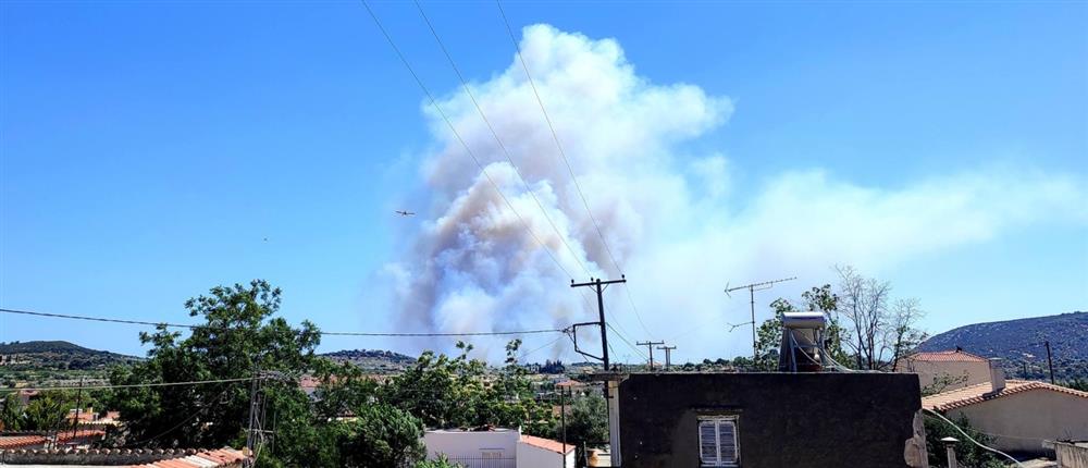 Φωτιά στην Αργολίδα: Μήνυμα του 112 για εκκένωση οικισμού (εικόνες)