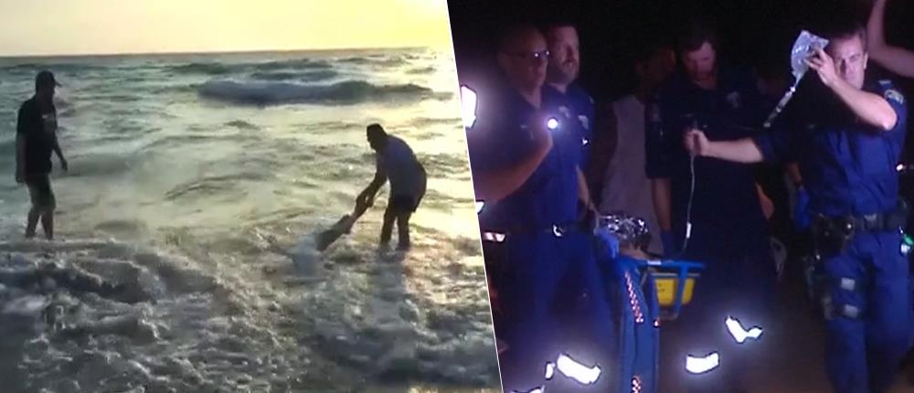 Σέρφερ σώθηκε από τα σαγόνια καρχαρία (βίντεο)