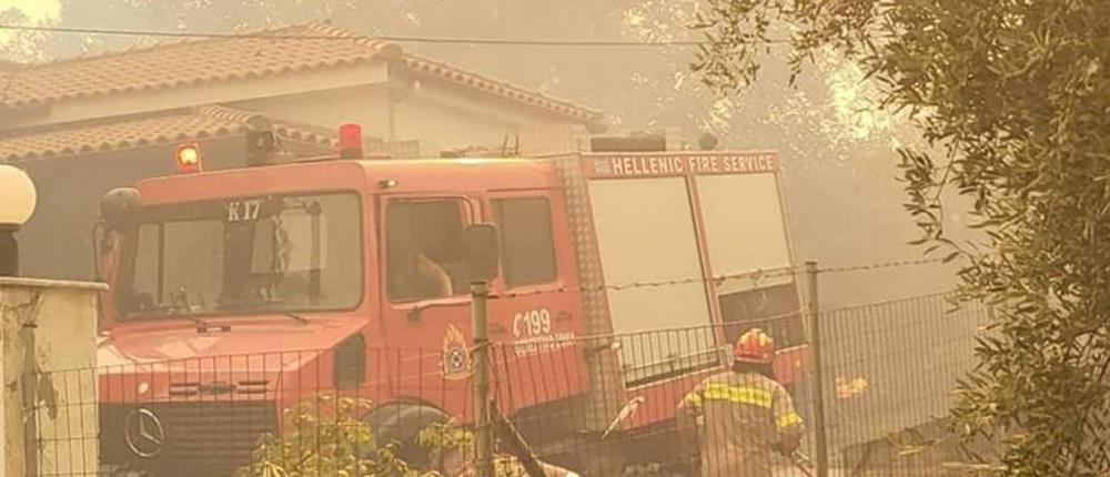 Φωτιά στα Κρέστενα Ηλείας: Μάχη σε τρία μέτωπα (εικόνες)