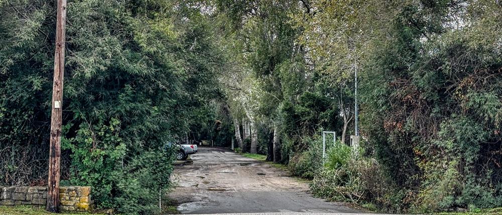 Φοινικούντα: Προθεσμία για να απολογηθεί πήρε ο συνέταιρος του επιχειρηματία