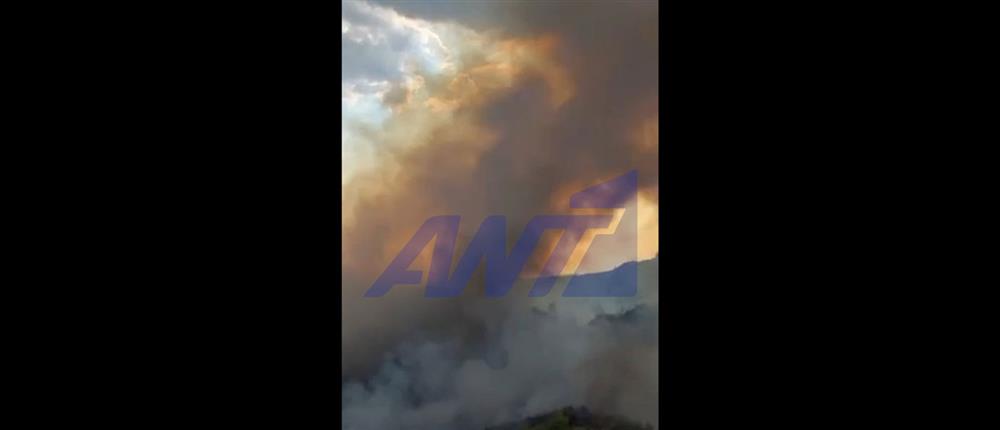 Ενισχύθηκαν οι πυροσβεστικές δυνάμεις στο Μουζάκι Ηλείας - Βίντεο από την επιχείρηση κατάσβεσης