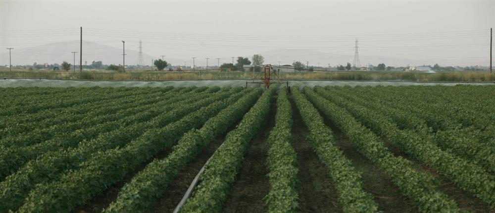 Συμφωνία ΕΕ-Mercosur: Τι σημαίνει για τους Έλληνες αγρότες και τα ελληνικά προϊόντα;