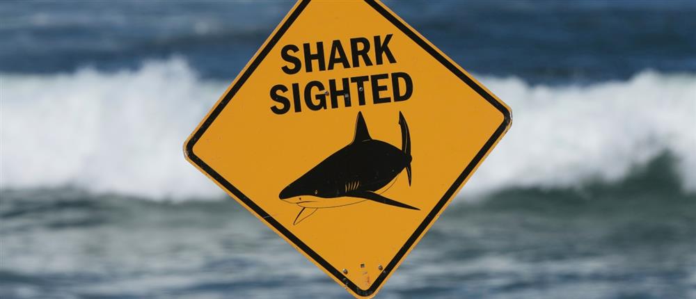 Αυστραλία: Επίθεση καρχαρία - Νεκρή μια 20χρονη