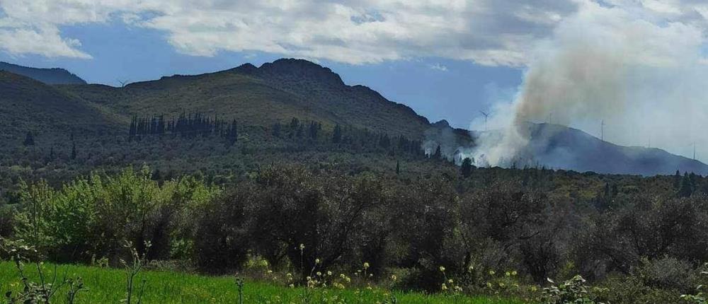 Φωτιά στη Βοιωτία: Στις φλόγες αγροτοδασική έκταση