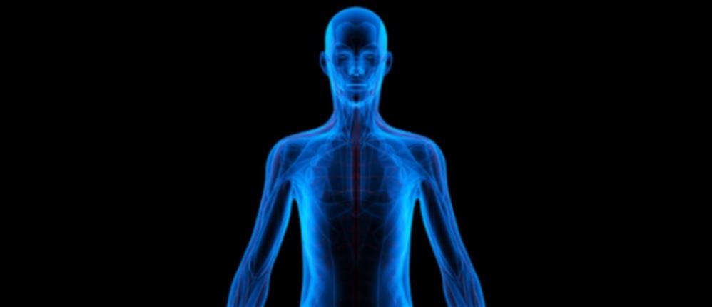 Ανακαλύφθηκε άγνωστο όργανο στο ανθρώπινο σώμα