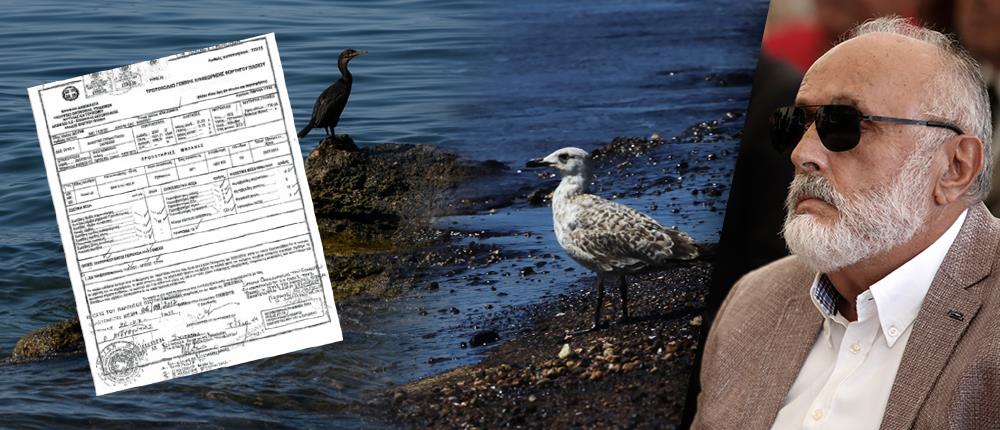 Οργή και αναπάντητα ερωτήματα για τον “μαύρο” Σαρωνικό