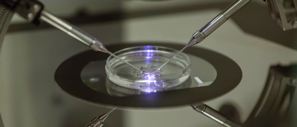 Η τεχνητή νοημοσύνη στην εξωσωματική γονιμοποίηση