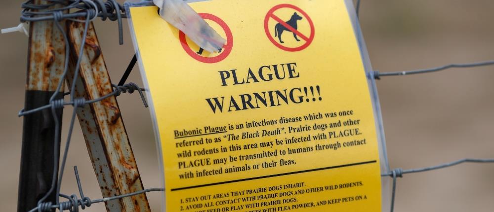 Βουβωνική πανώλη: Σπάνιο κρούσμα επιβεβαιώθηκε στις ΗΠΑ
