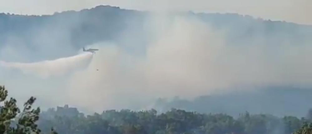 Φωτιά στην Αλεξανδρούπολη: Έκλεισε η Εγνατία Οδός - Μήνυμα από το 112 (βίντεο)