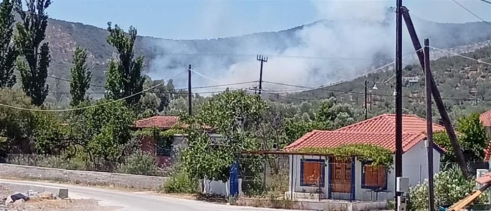 Φωτιά στον Αύλωνα Λέσβου: Στην “μάχη” εναέρια και επίγεια μέσα (εικόνες)