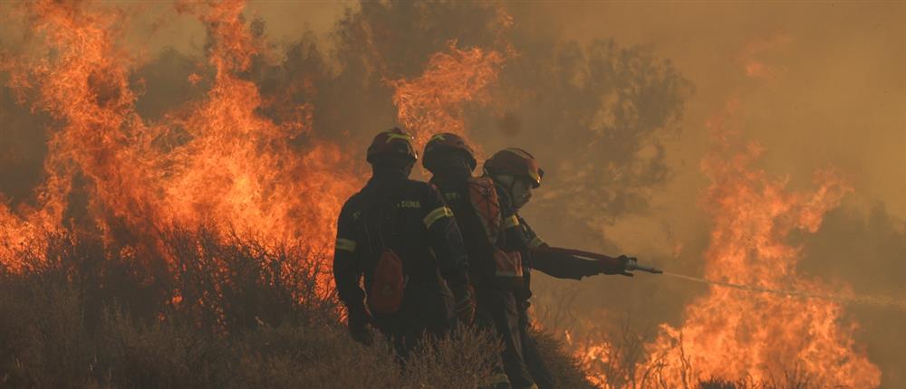 Φωτιά σε δασική έκταση στο Γαρδίκι Θεσπρωτίας