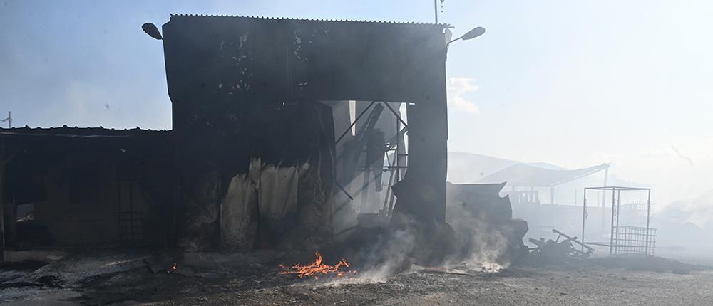 Φωτιά στον Βόλο: νέα μηνύματα για εκκενώσεις