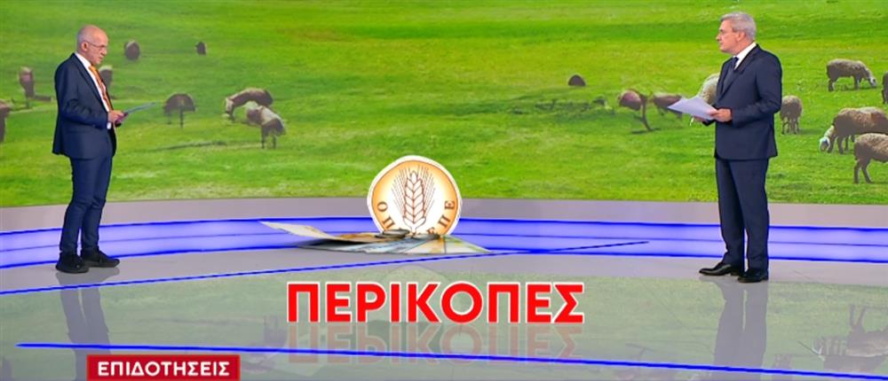 Τέλλογλου για ΟΠΕΚΕΠΕ και επιδοτήσεις: Λιγότερα χρήματα θα πάρουν στα χέρια τους αγρότες και κτηνοτρόφοι