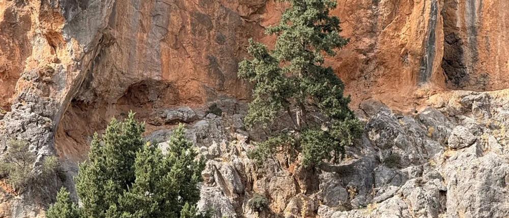 Βορίζια: Η ΕΛ.ΑΣ. έχει βίντεο με τον γαμπρό του 39χρονου νεκρού να πυροβολεί την ώρα της συμπλοκής