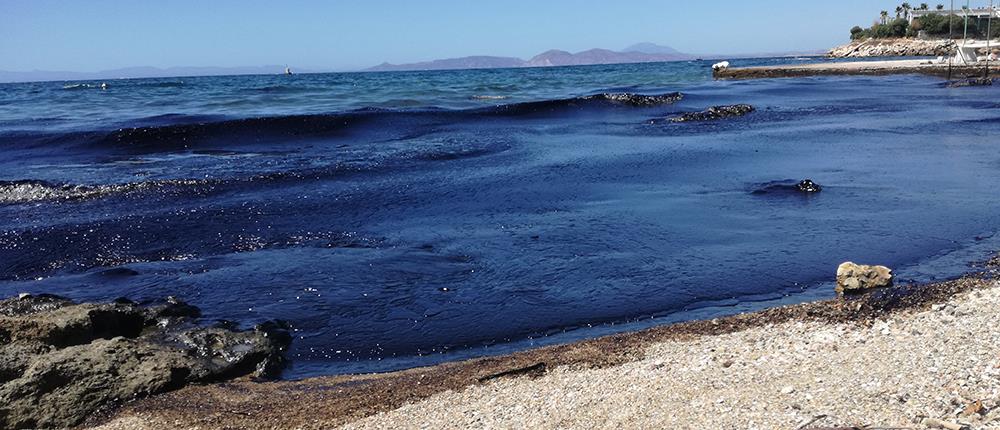 Συντονιστικό όργανο για την αντιμετώπιση της θαλάσσιας ρύπανσης