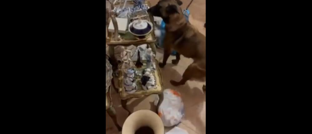 Αχαρνές: Συνελήφθησαν 10 άτομα  σε ειδική αστυνομική επιχείρηση