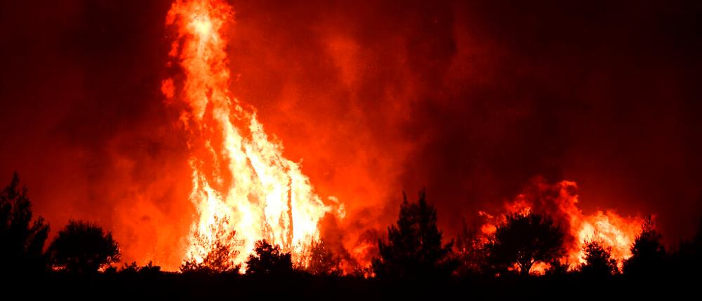 Φωτιά στα Βίλια: “Μάχη” με τις διάσπαρτες εστίες (εικόνες)