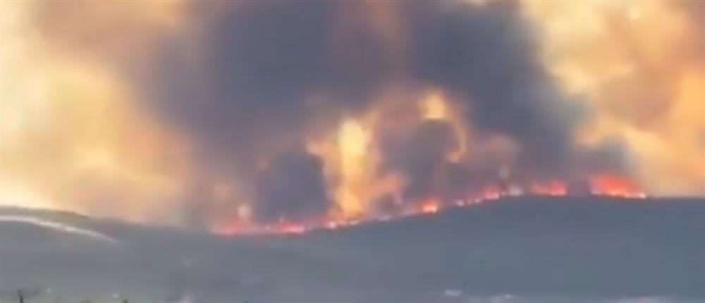 Τουρκία: Μάχη με τις φλόγες στη Ραιδεστό και τα Δαρδανέλια - Εκκενώθηκαν χωριά (βίντεο)