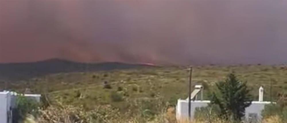 Φωτιά στα Κύθηρα: Νέο μήνυμα του 112 για εκκένωση οικισμών (εικόνες)