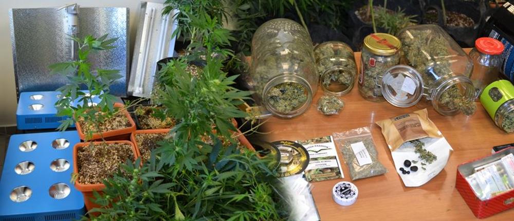 Το σπίτι στην Κρήτη με τα... “παράξενα” φυτά