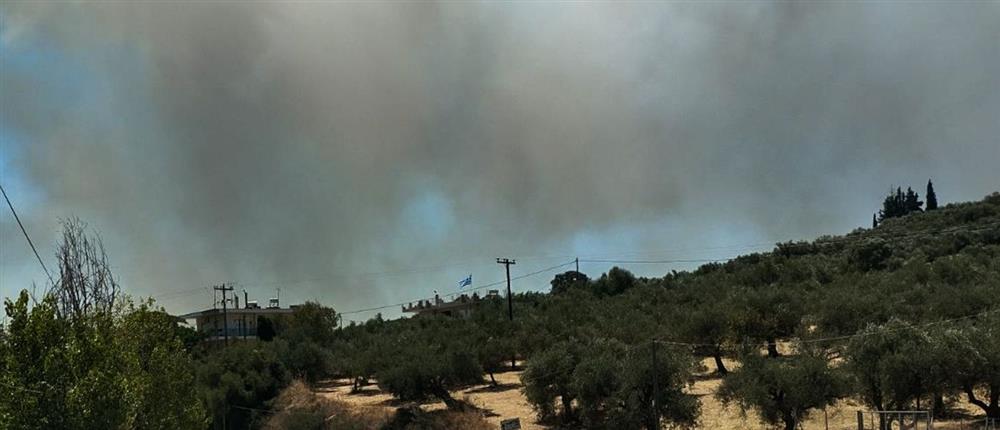 Πυρκαγιά στην Αχαΐα – Ήχησε το 112