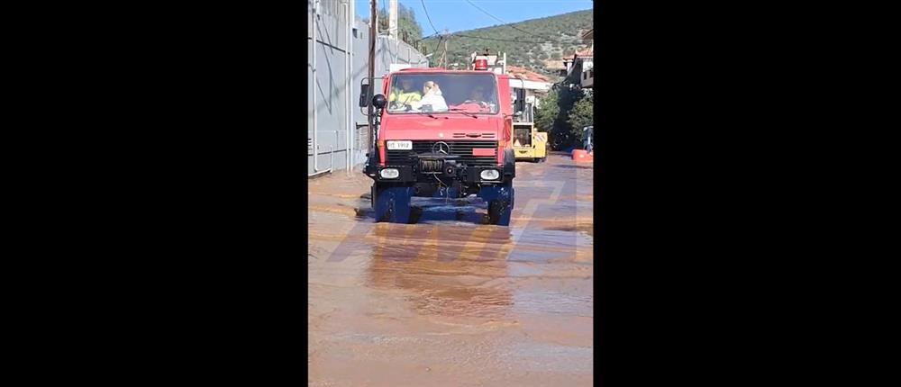 Κακοκαιρία - Κρανίδι: Ηλικιωμένοι απεγκλωβίστηκαν από την Πυροσβεστική (βίντεο)