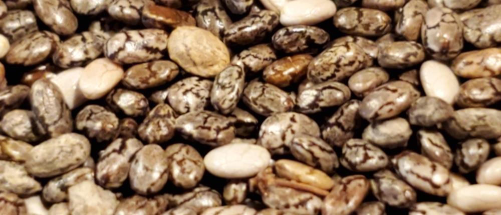 Σπόροι τσία: Τα...άπειρα οφέλη για την υγεία