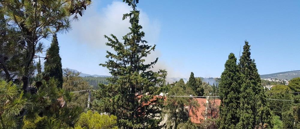 Πυρκαγιά ξέσπασε στο άλσος Συγγρού