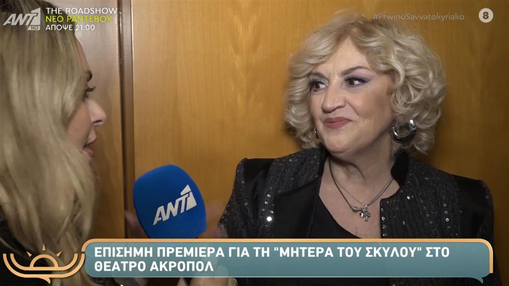 Υρώ Μανέ: "Θέλω να γίνει αυτή η σειρά, δεν έχω λόγο να μην σηκώσω το τηλέφωνο"