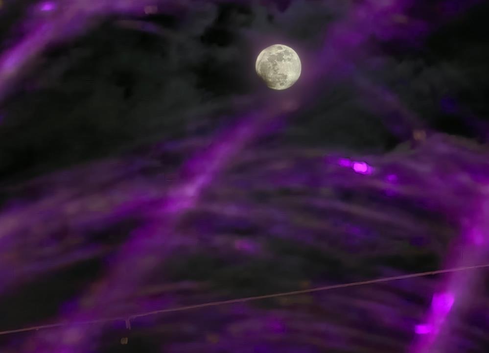 ροζ - Πανσεληνος