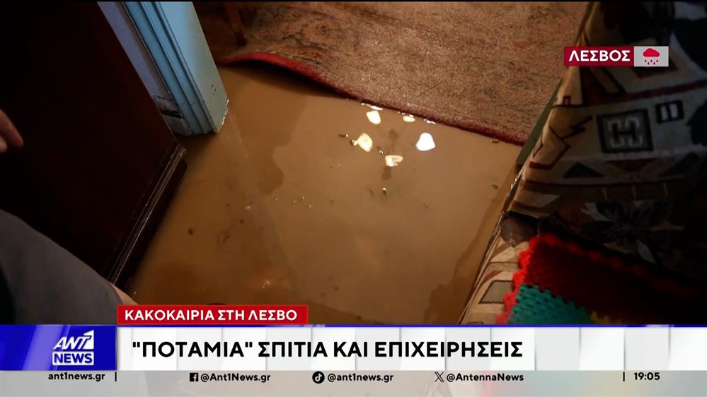 Κακοκαιρία στη Λέσβο: "Ποτάμια" σπίτια και επιχειρήσεις