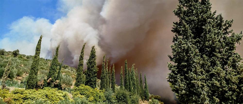 Ευβοια - Φωτιά