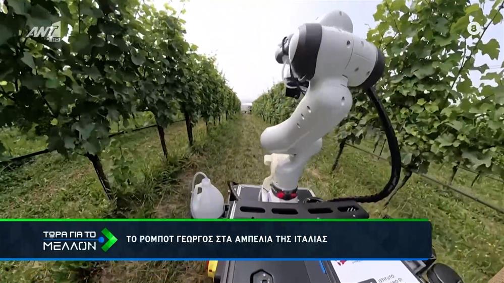 Ρομπότ στους.. Αμπελώνες