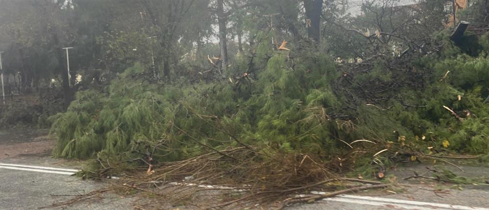 Κακοκαιρία “Bora” - Θεσσαλονικη Κακοκαιρία “Bora” - Θεσσαλονικη