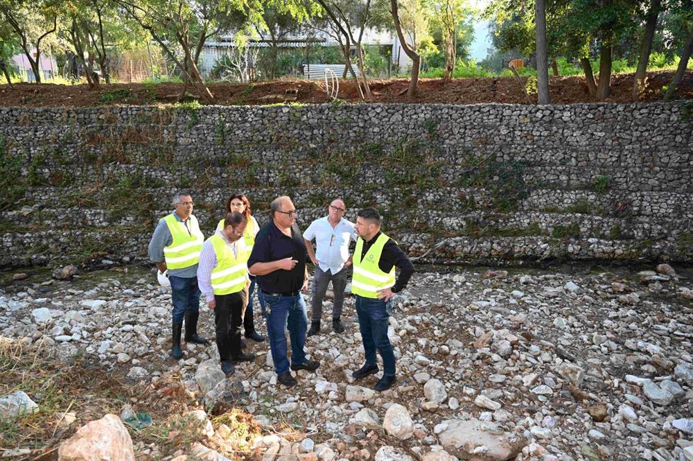 Χαεδαλιάς - αυτοψία - ρέμα ποδονίφτη Χαεδαλιάς - αυτοψία - ρέμα ποδονίφτη