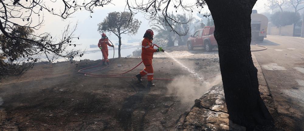 Σαλαμίνα: Το “σημείο μηδέν” από όπου ξεκίνησε η φωτιά