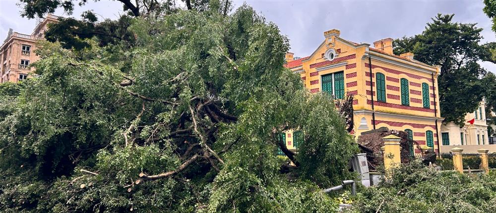 Βιετνάμ - Τυφώνας Γιάγκι Βιετνάμ - Τυφώνας Γιάγκι