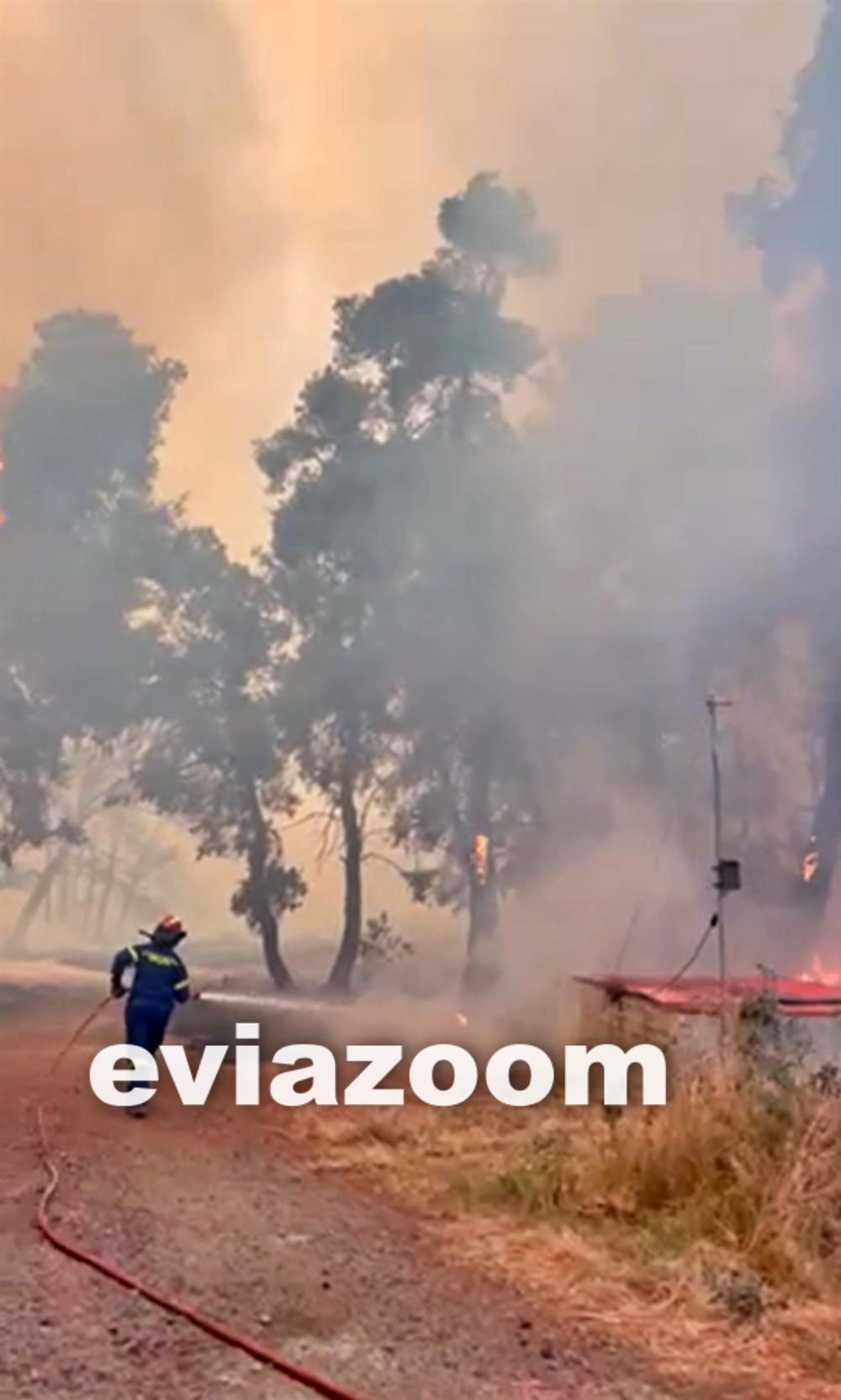 εύβοια - φωτιά - πυροσβεστικά