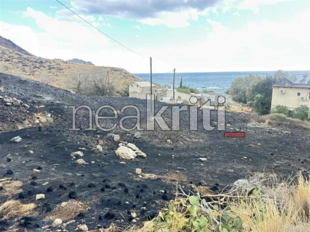 Κρήτη - φωτιά - Λέντας