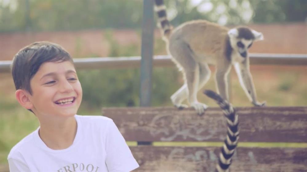 Αττικό Πάρκο advertorial short